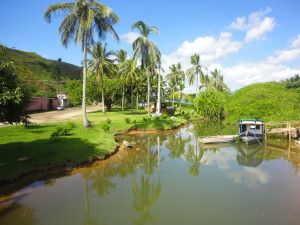 camaroeiro3